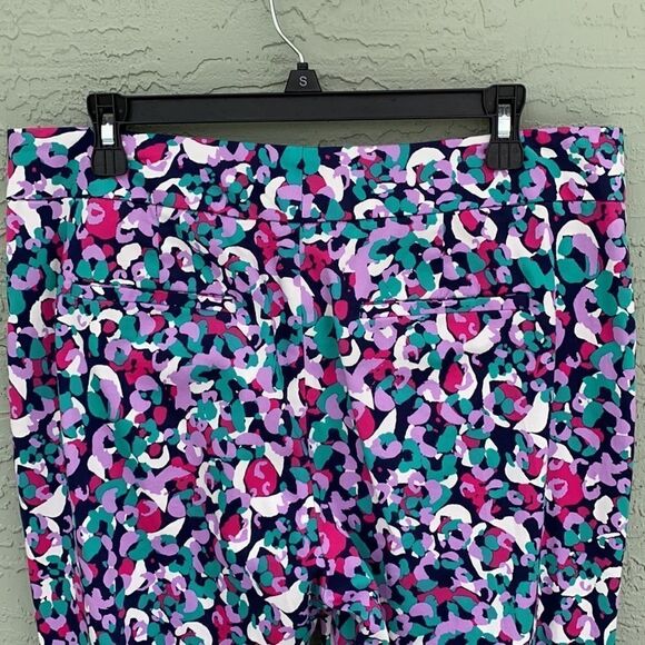 Pappagallo Sz 10  The Chelsea pant in Jade Multi - Picture 8 of 12